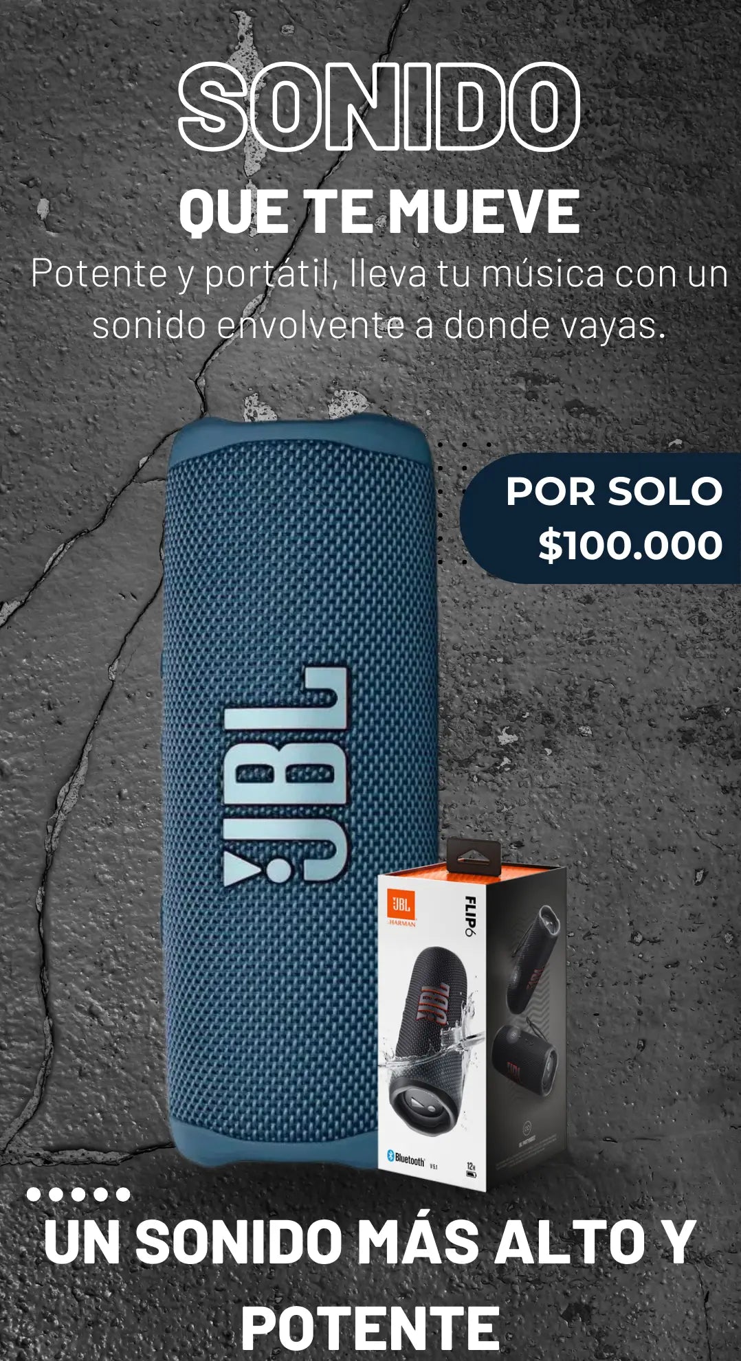 Parlante JBL flip 6